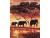 Bild 3 Schipper Malen nach Zahlen Afrika: Elefanten-Karawane