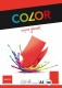 ELCO      Office Color Papier         A4 - 74616.92  80g, rot             100 Blatt