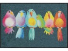 Salonlöwe Fussmatte Rainbow Birds 50 cm x 75 cm