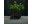 Bild 6 concrette Pflanzengefäss Totenkopf 15 x 21 cm, Schwarz