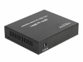 DeLock Media Converter 10GBase-R SFP+ to SFP+ - Convertisseur