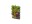 GARDENA Pflanzentopf NatureUp! Set Vertikal mit Bewässerung, Volumen: 0 l, Material: Kunststoff, Form: Eckig, Detailfarbe: Grau, Ausstattung: Automatische Bewässerung, Einsatzort: Aussen