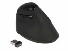 DeLock Ergonomische Maus 12599 USB