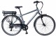 E-Bike City 47 cm PRIVILEGE grau