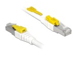 DeLock Secure - Patch cable - RJ-45 (M) to
