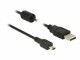 Bild 1 DeLock USB 2.0-Kabel mit Ferritkern USB A - Mini-USB