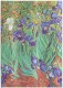 PAPERBLAN Notizbuch Van Goghs       Midi - PB8205-7  blanko              144 Seiten