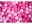 Bild 1 Knorrtoys Bällebad Rosa mit Herzen inkl. 300 Bälle