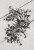 Bild 0 Vintage Paint - Schablone Flowers filigree
