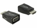 DeLock Konverter HDMI zu VGA USB Strom