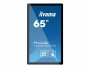 iiyama Monitor ProLite TF6539UHSC-B1AG, Bildschirmdiagonale: 65 "
