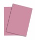 PAPYRUS   Rainbow Papier FSC          A4 - 88043107  120g, rosa           250 Blatt