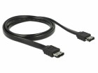 DeLock eSATA-Kabel 1m, extern