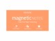 TESLA AM. Magnetic Notes L     200x100mm - 114       peachy               100 Blatt