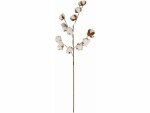 CHALET Kunstblume Baumwolle 77 cm, Produkttyp: Schnittblumen und