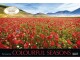 Korsch Verlag Kalender Colourful Seasons 2024, 58 x 39 cm