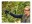 Bild 12 Bosch Akku-Gartenschere EasyPrune, Schnittbreite: 22 mm