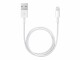 Apple Lightning to USB Cable 0.5m iPhone 5, iPod touch