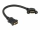 DeLock Verlängerungskabel zum Einbau HDMI - HDMI, 0.25 m