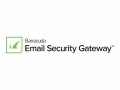 Barracuda Email Security Gateway Virtual 300 (with Per User