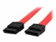 StarTech.com - 6in SATA Serial ATA Cable - SATA cable - Serial ATA 150/300 - SATA (F) to SATA (F) - 5.9 in - red - SATA6