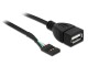 Image 0 DeLock USB 2.0-Kabel Pinheader - USB A 0.4 m