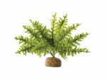 Exo Terra Regenwaldpflanze Boston Farn, S, Produkttyp Terraristik