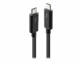 LINDY - Thunderbolt-Kabel - USB-C (M) zu USB-C (M