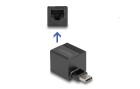 DeLock Netzwerk-Adapter mini USB Typ-C, Schnittstellen: RJ-45