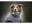 Bild 3 Deek Bademantel L, 62 cm, Anthrazit, Hundegrösse: L, Detailfarbe