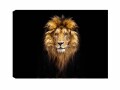 Wallxpert Bild Lion 50 x 70 cm, Motiv: Löwe