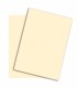 PAPYRUS   Rainbow Papier FSC          A4 - 88043123  hellchamois, 160g    250 Blatt