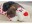 Bild 1 Beeztees Hunde-Spielzeug Hund Suki XL, 48 x 46 x