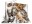 Bild 1 HERMA Gummibandmappe A4 Katzen, Polypropylen, mit Innendruck
