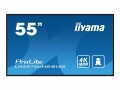 Iiyama 55 3840X2160 UHD IPS PANEL 500CD/M VESA MOUNT