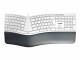 Cherry KC 4500 ERGO KEYBOARD CORDED GERMAN USB PALE