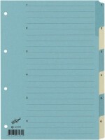 BÜROLINE Register Karton blau/beige A4 663400 1-6, Kein