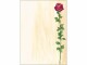Sigel Motivpapier Rose Bloom A4, 25 Blatt