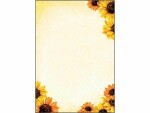 Sigel Motivpapier Field of Sun A4, 50 Blatt