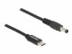 Immagine 4 DeLock Ladekabel USB-C zu 5.5 x 2.1 mm Stecker