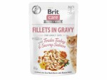 Brit Nassfutter Care Fillets Sauce Truthahn & Lachs, 85