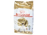 Royal Canin Trockenfutter Siamese Adult, 10 kg, Tierbedürfnis