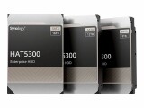 Synology HAT5300 - Festplatte - 8 TB - intern