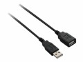 V7 Videoseven V7 - USB-Verlängerungskabel - USB (M) zu USB (W