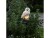 Bild 2 Star Trading Gartenlicht Solardekoration Owl, Beige, Betriebsart