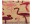 Bild 2 relaxdays Fussmatte Flamingo 41.5 cm x 62 cm, Bewusste