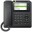 Bild 2 Unify SIP Tischtelefon CP600 Schwarz, SIP-Konten: 6 ×, PoE