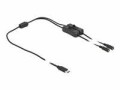 DeLock Hohlstecker Kabel USB Type-C zu 2 x DC