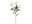 Bild 0 Botanic-Haus Kunstblume Christrosen 3-er Set, 62 cm, Weiss, Produkttyp