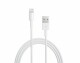 Apple Lightning to USB Kabel 0.5m, Typ